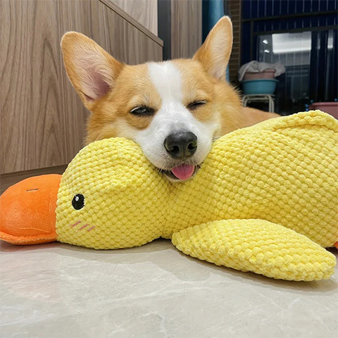 🔥Last Day Sale 50% OFF✨😸Best Friends Calming Duck Toy🐶
